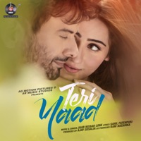 Teri Yaad - Single - Jaan Nissar Lone