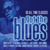 Big Joe Williams - Baby Please Don't Go