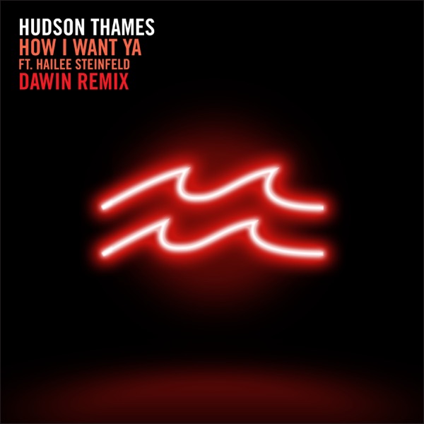 How I Want Ya (feat. Hailee Steinfeld) [Dawin Remix] - Single - Hudson Thames