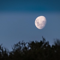 Mauritius - Single - Phonedown