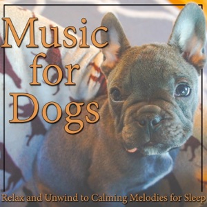 Music for Dogs: Relax and Unwind to Calming Melodies for Sleep