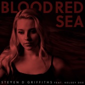 Blood Red Sea (feat. Kelsey Dee) artwork