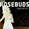 Night of the Furies - The Rosebuds lyrics