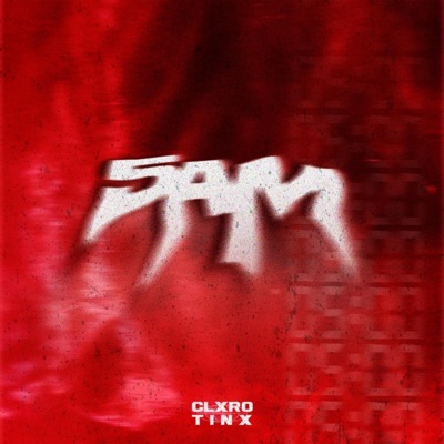 5AM (feat. Tinx) - Single