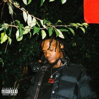 Send Help (Deluxe Version) - BigBabyGucci