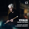 Giovani Antonini - Concerto in do maggiore per flautino, archi e B.C., RV 443: I. (Allegro)