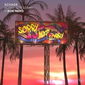 Sorry Not Sorry (feat. Bok Nero) artwork