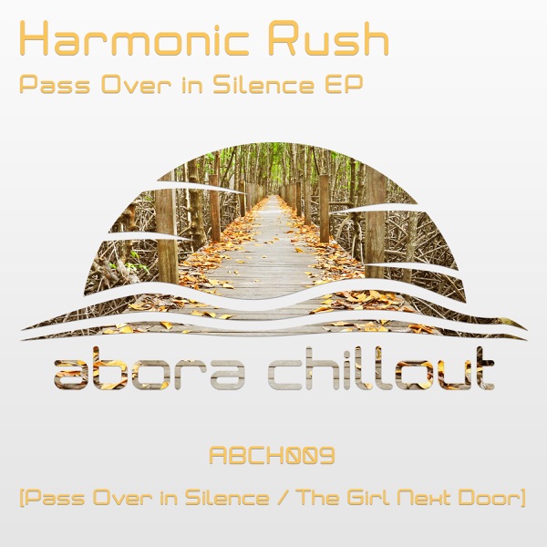Pass Over in Silence - Single