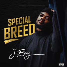 Waiting (feat. Blacko, paros & Malvis) Jayboy