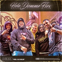 Hele Domme Flex (feat. Max Wallin') - Single - L CIANO