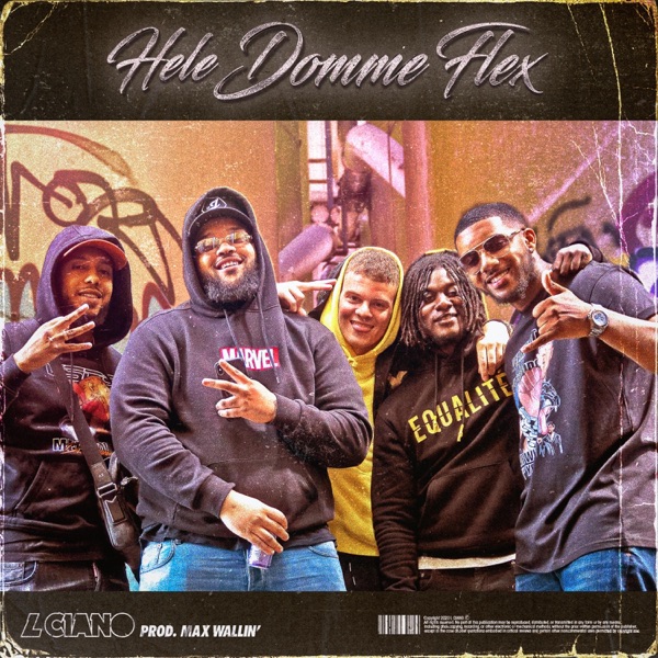 Hele Domme Flex (feat. Max Wallin')