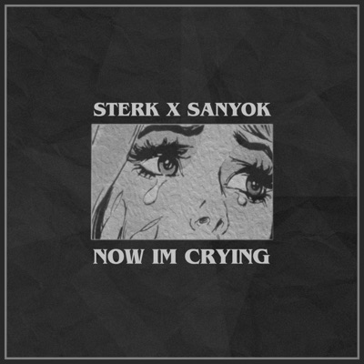 Now Im Crying - Single