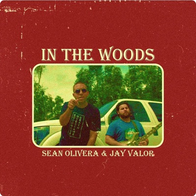 In the Woods (feat. Jay Valor) - Single