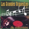 Las Grandes Orquestas De Coleccion V. 1, 2011
