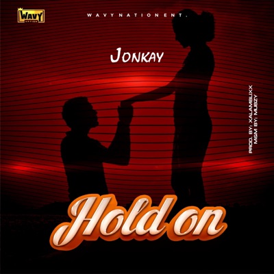 Hold On - Single