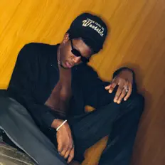 聆聽 Danzi、觀看音樂影片、閱讀小傳、查看巡演日期等！