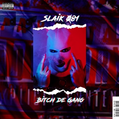 Bitch de Gang - Single