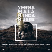 Yerba Mala Nunca Muere artwork