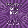 Tributos de Colección: Lo Mejor de Bon Jovi