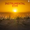 Soilwork Soilwork VIP Instrumental EDM