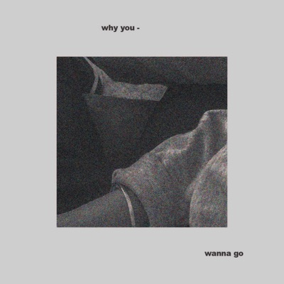 Why You Wanna Go - Single