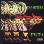 The Meters - Same Old Thing