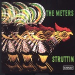 The Meters - Wichita Lineman