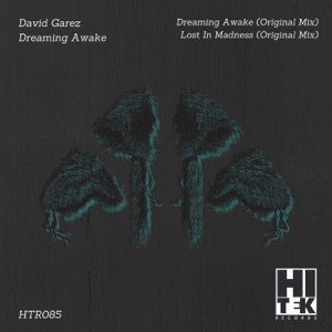 Dreaming Awake - Single