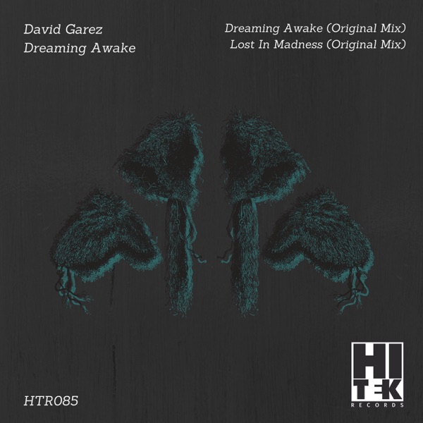 Dreaming Awake - Single