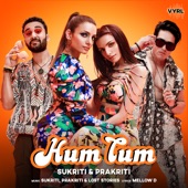 Hum Tum artwork