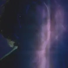 Ouça Todd Whinehouse, assista a videoclipes, leia a biografia, veja as datas das turnês e mais!