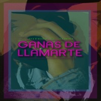 Ganas de llamarte (feat. intrín) - Single - Ánru