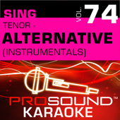 Chasing Cars (Karaoke With Background Vocals) [In the Style of Snow Patrol]
