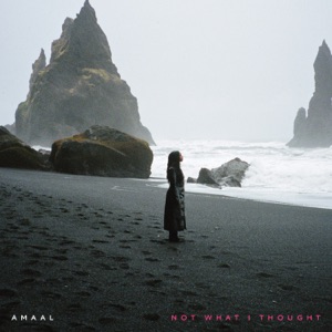 Not What I Thought - Single
