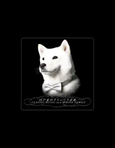 Poslechněte si interpreta White Orchestra, sledujte hudební videa, přečtěte si životopis, podívejte se na data turné a další informace.