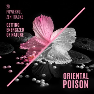 20 Powerful Zen Tracks: Getting Energized of Nature, Oriental Poison