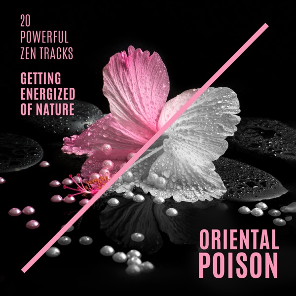 20 Powerful Zen Tracks: Getting Energized of Nature, Oriental Poison