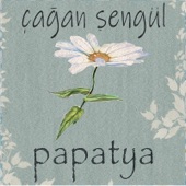 Papatya artwork