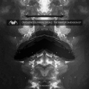 The Mirror Dimension - Single