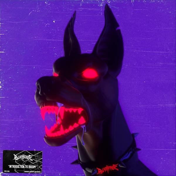Introduction To Riddim - EP