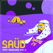 Tent Sessions, Vol. II artwork
