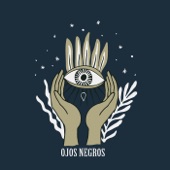 Ojos Negros artwork
