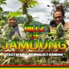 Hillz of Jamdung (feat. Journalist Bandoo)