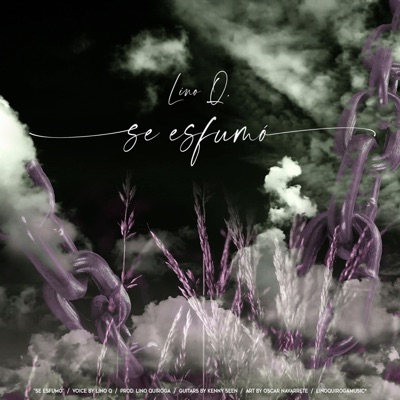 Se Esfumó (feat. Kenny Seen) - Single