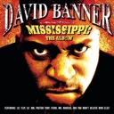 David Banner