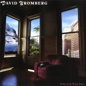 David Bromberg - Suffer to Sing the Blues