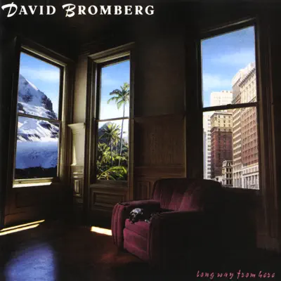 Long Way from Here - David Bromberg