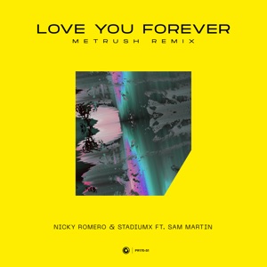 Love You Forever (feat. Sam Martin) [Metrush Remix] - Single