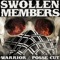 Warrior (feat. Tre Nyce & Young Kazh) - Swollen Members lyrics