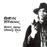 Robyn Hitchcock - Out of the Picture